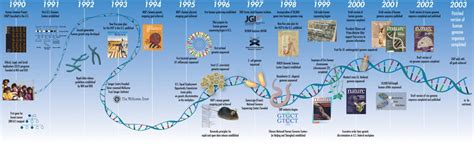 human genome project results pdf|Human Genome Project Results.